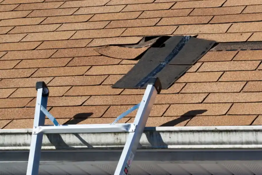Shingle Roof Repair